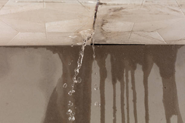 Professional Sewage Cleanup technician working in Blackwater, AZ